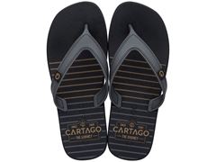 Chinelo Cartago Dakar Adulto 10738 Preto / Cinza / Castor
