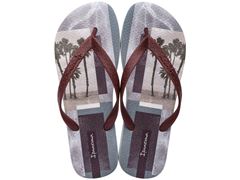 Chinelo Ipanema Classica Urbana Masculino 25373 Cinza / Bordo