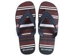 Chinelo Cartago Dakar Adulto 10738 Azul / Azul / Branco