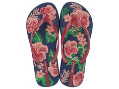 Chinelo Ipanema Orla Adulto 27036 Azul/Vermelho/Verde