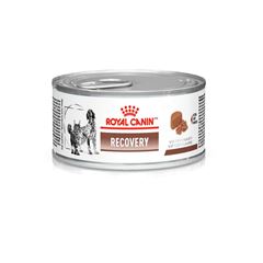 Racao Royal Canin Lata Recovery 195g